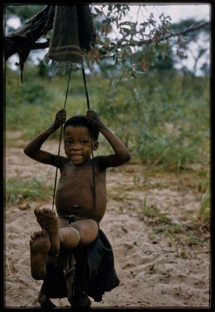 Girl sitting in a rope swing