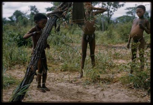 Three children, including a boy holding on to a rope swing