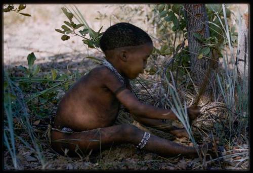 Girl (youngest daughter of Bo and Abou) sitting and working with a digging stick