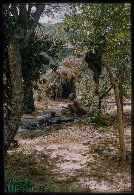 Woman cracking mangetti nuts, with a skerm in the background