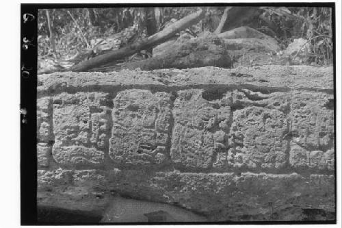 Stela 14 - left