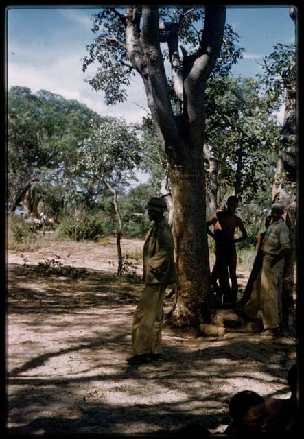 /Ti!kay in profile standing, wearing Western clothes (jacket, plaid shirt, and felt hat with feather), with other men standing by tree in the background