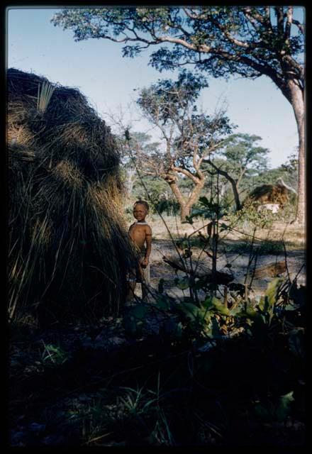 Girl (daughter of Hxua//a) standing near a skerm