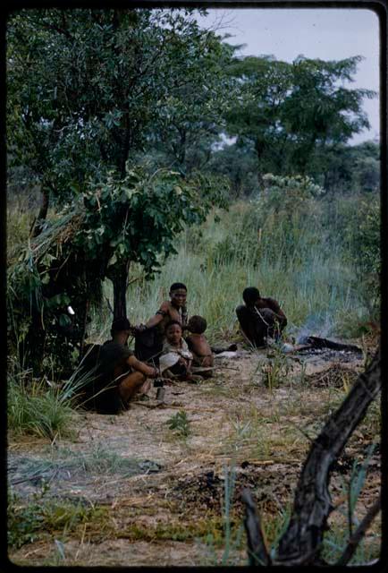 Group of people sitting under a leafy skerm