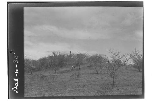 View of SW corner of main group of mounds looking towards NW and showing pit in