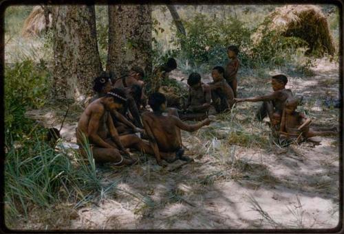 Group of people gathered under a tree at the edge of mangetti forest