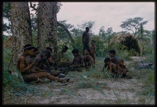 Group of people gathered under a tree at the edge of mangetti forest
