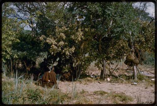 Group of people sitting under trees, where somebody's belongs are hanging