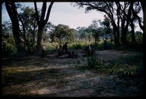 Group of people sitting, seen from a distance