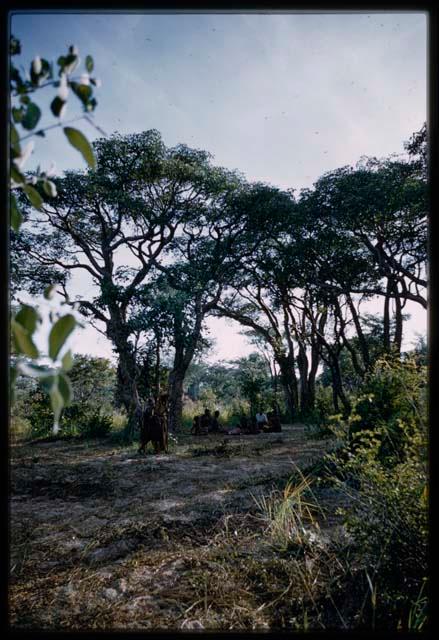 Group of people sitting, seen from a distance