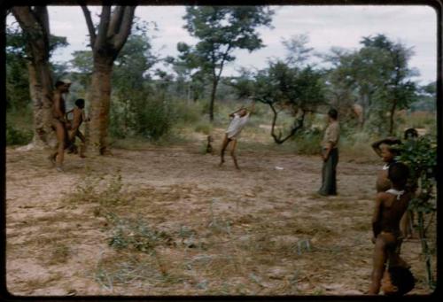 Group of people playing a cricket game