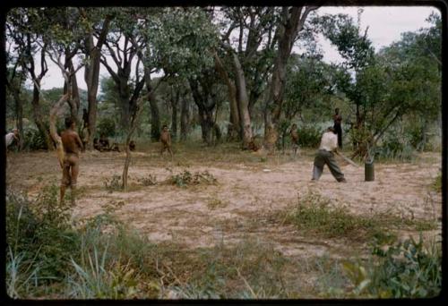 Group of people playing a cricket game