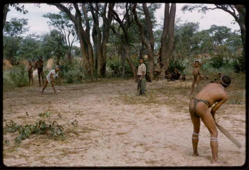 Group of people playing a cricket game