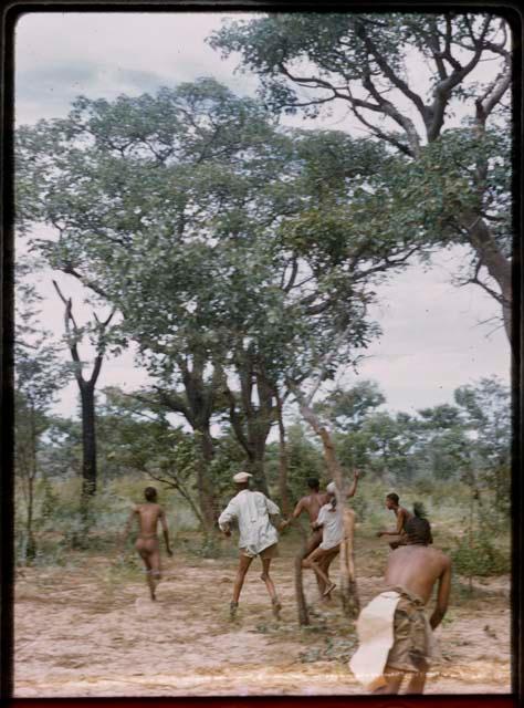 Group of people playing a cricket game