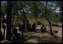 Group of people gathered in shadows at a campsite