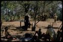 Group of people gathered in shadows at a campsite