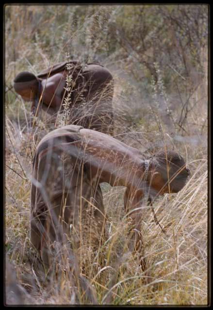 Two women gathering in long grass