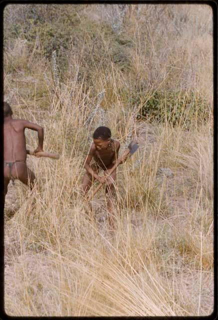 Two boys in long grass, holding poles in their hands