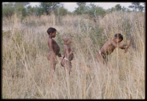 Three boys standing in long grass