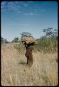 Woman carrying a bundle on her head to werft