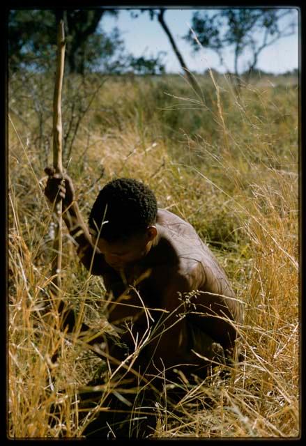 Man squatting in the grass with a digging stick