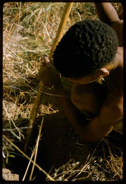 Man squatting in the grass with a digging stick
