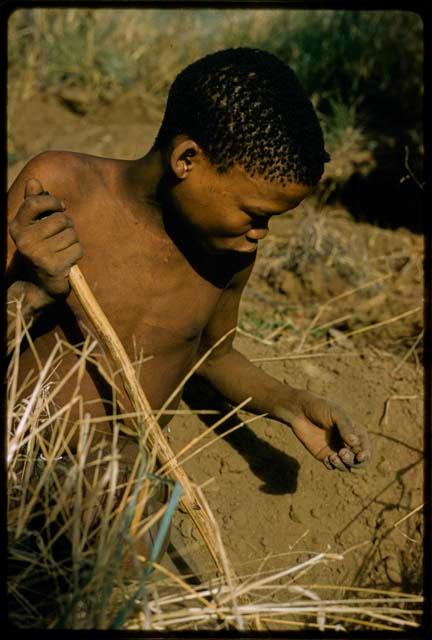 Man squatting with a digging stick in the grass, holding a poison grub in his hand