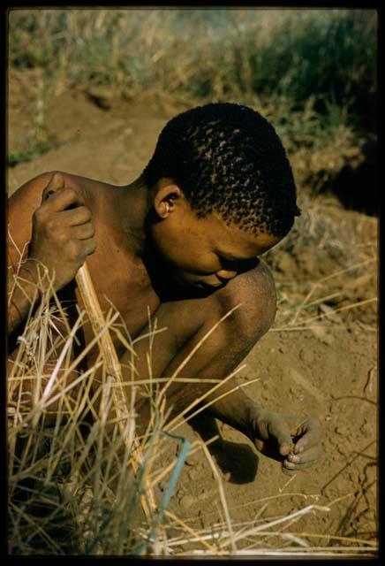 Man squatting with a digging stick in the grass, holding a poison grub in his hand