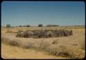 Kraal with huts surrounded by a tall fence of poles