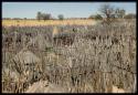 People, round huts and fence inside a kraal, view from the top of the expedition truck