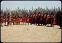 Group of wives of Chief Nehemiah standing in his kraal