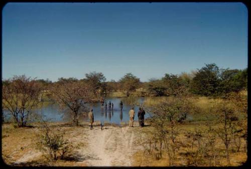 People wading in a pond across a road, testing the depth before the expedition trucks cross