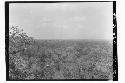 View from bush from temple