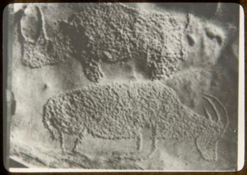 Petroglyph of a rhino and an antelope