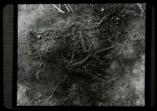 Petroglyph of two humans