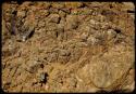 Scho-Scho gulch, view of rocky side of cliff