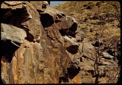 Petroglyphs on the south wall of Scho-Scho gulch