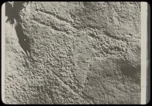 Petroglyph of an eland head