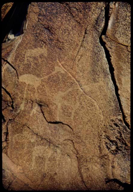 Petroglyph of animals and two human figures at Scho-Scho, detail