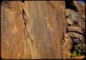 Petroglyph at Scho-Scho, of a giraffe and a small animal with large paws, detail