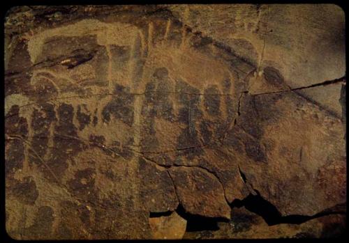 Petroglyphs of animals at Scho-Scho