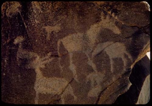 Petroglyph of an antelope with large knee joints at Scho-Scho