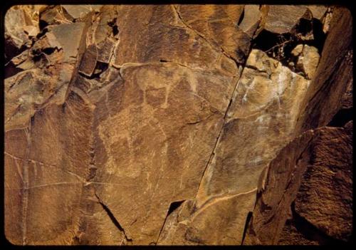 Petroglyph of an elephant with large feet and other animals at Scho-Scho