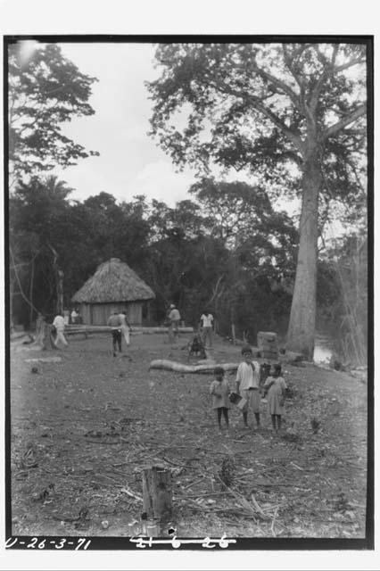 Benque Ceiba