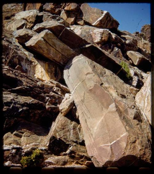 Petroglyphs at Scho-Scho (top) and fallen rock, showing surface less weathered than face of cliff