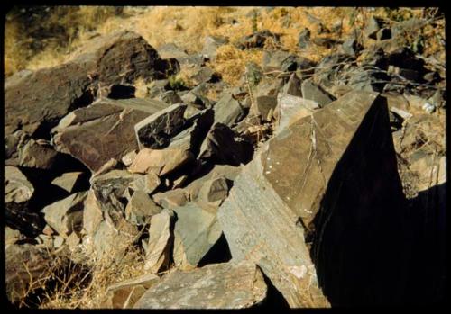 Fallen rock with petroglyphs on it at Scho-Scho