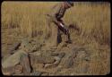 Merl La Voy examining dwelling site at Scho-Scho