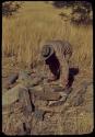 Merl La Voy examining dwelling site at Scho-Scho