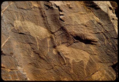 Petroglyphs on the south wall of Scho-Scho gulch, detail