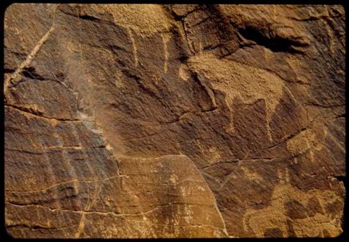 Petroglyphs on the south wall of Scho-Scho gulch, detail